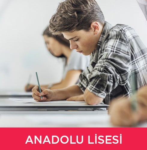 Anadolu Lisesi